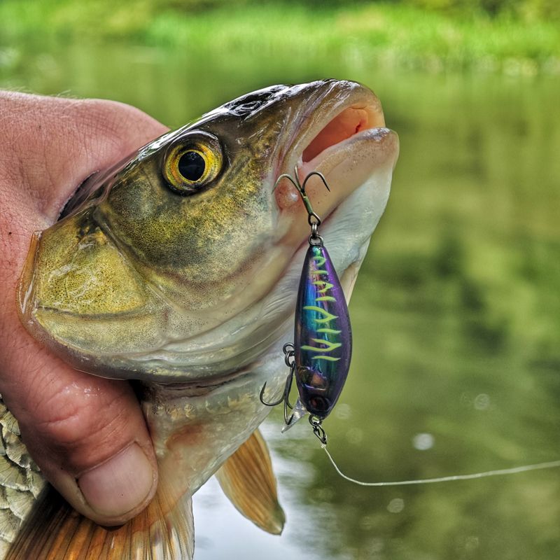 Триумф Abbey Minnow