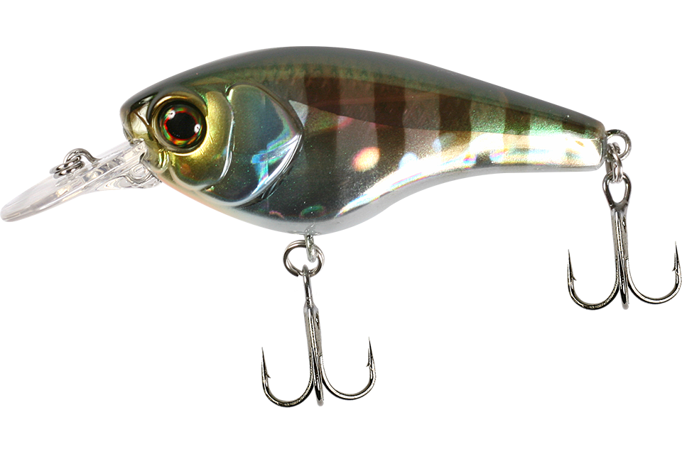 hl bluegill