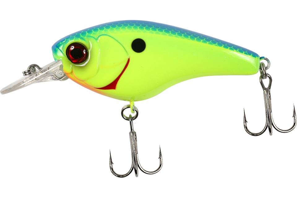 blue back chartreuse