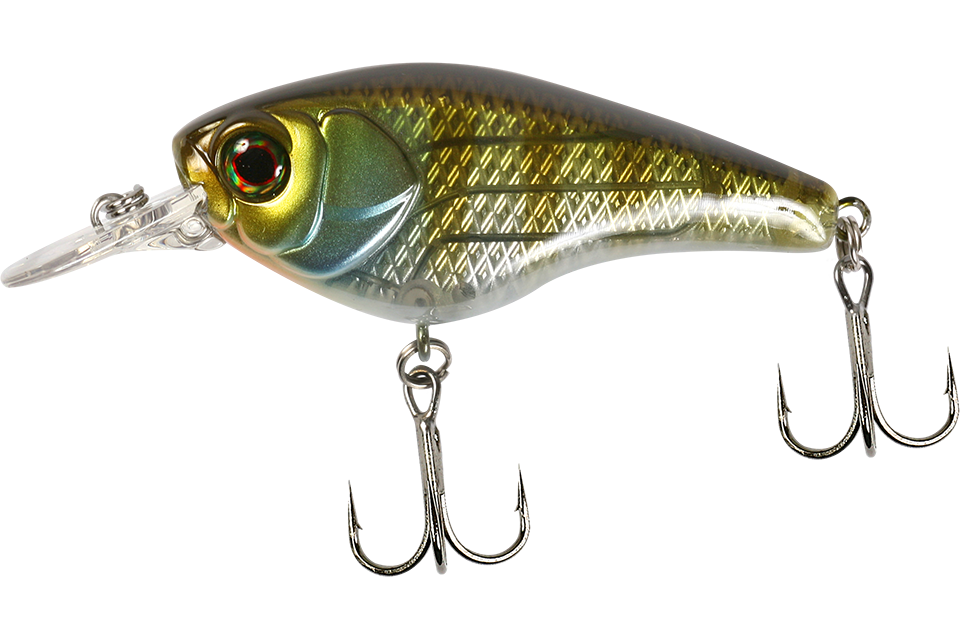 is blue gill
