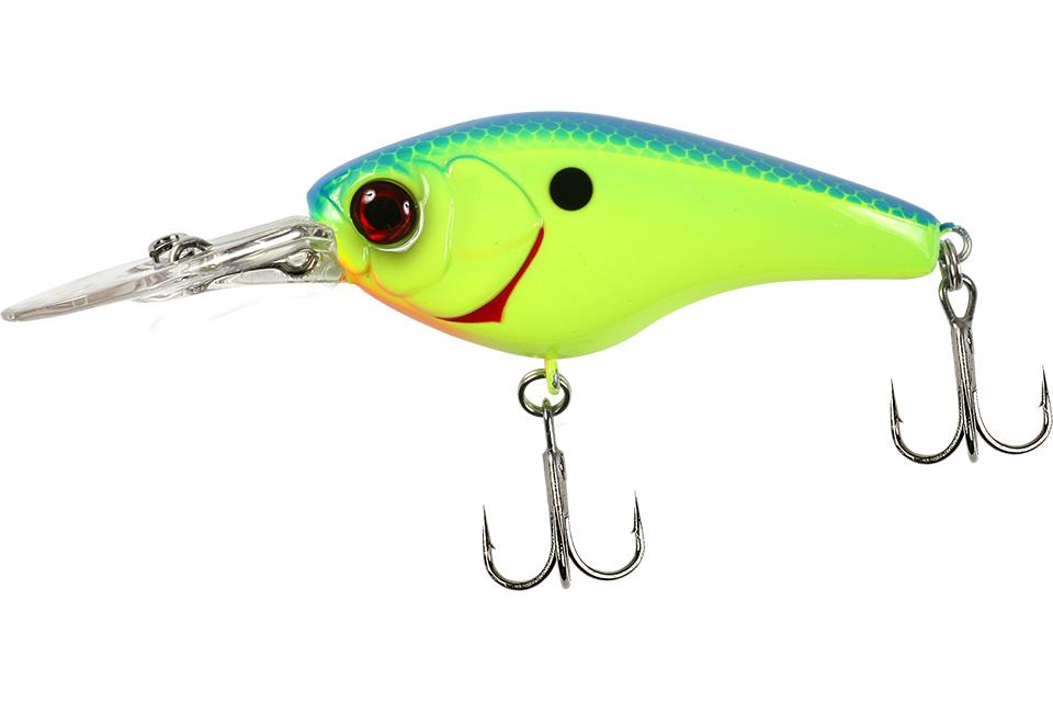 blue back chartreuse