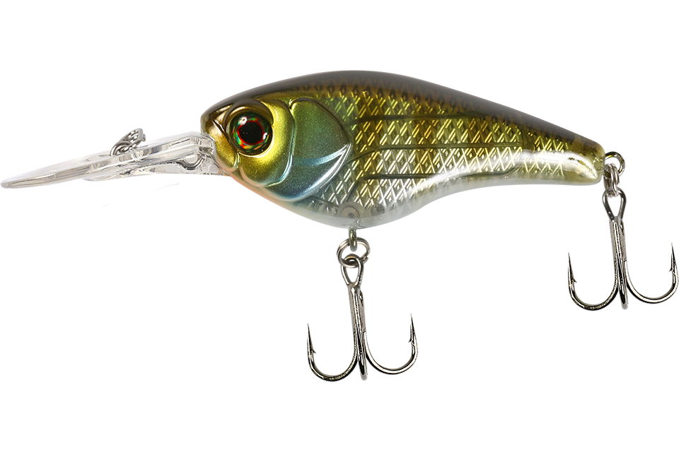 is blue gill