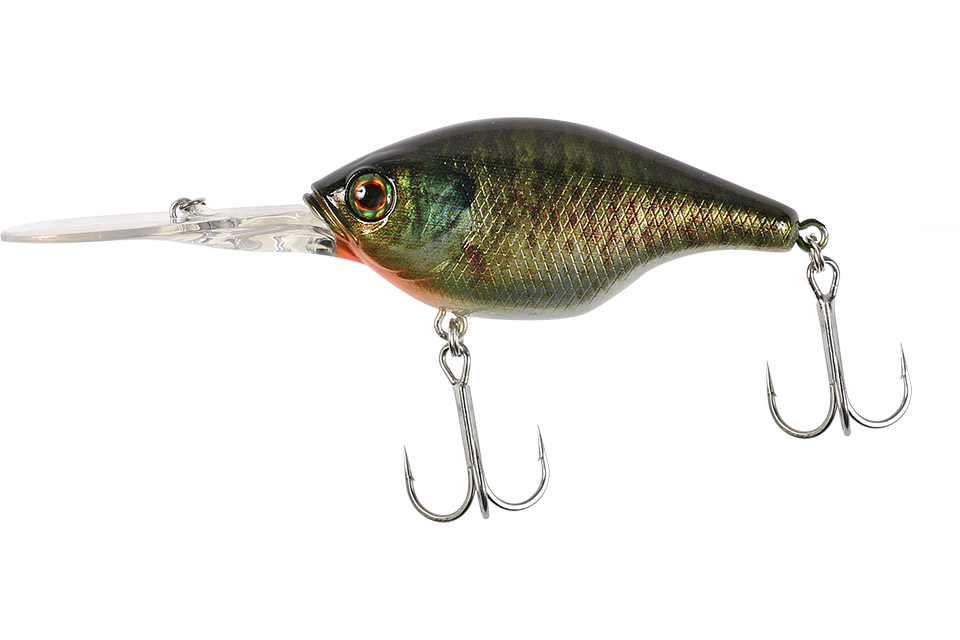rt blue gill