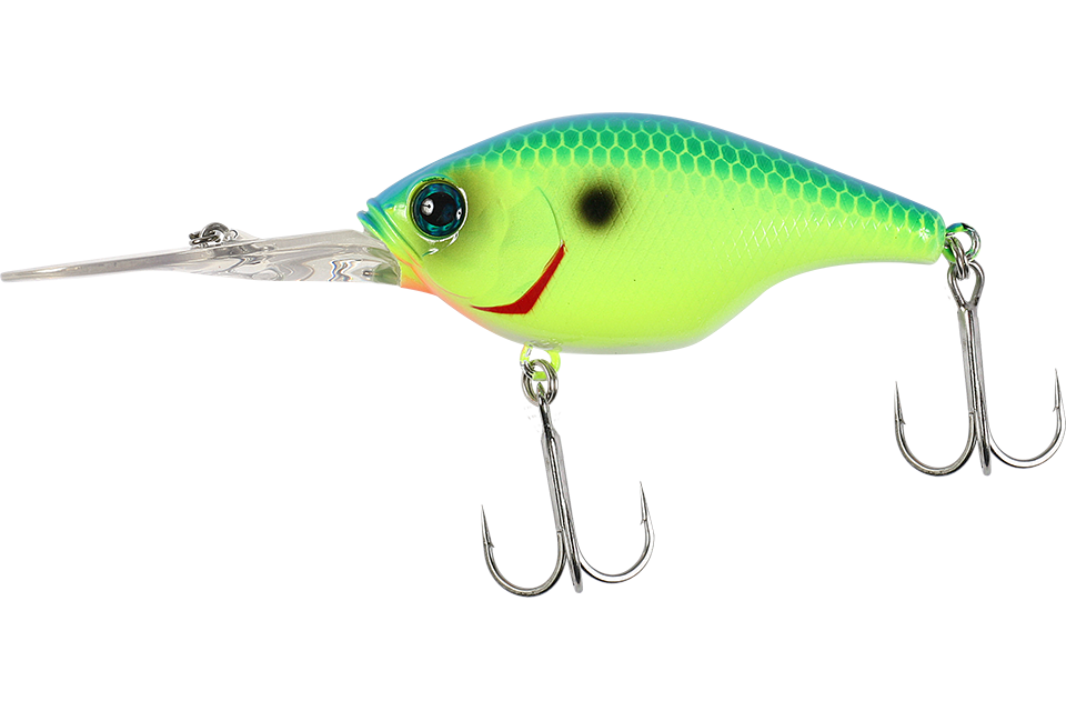 blue back chartreuse