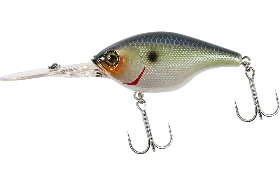 ghost threadfin shad
