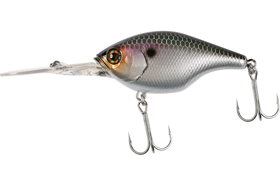 sk silver shiner