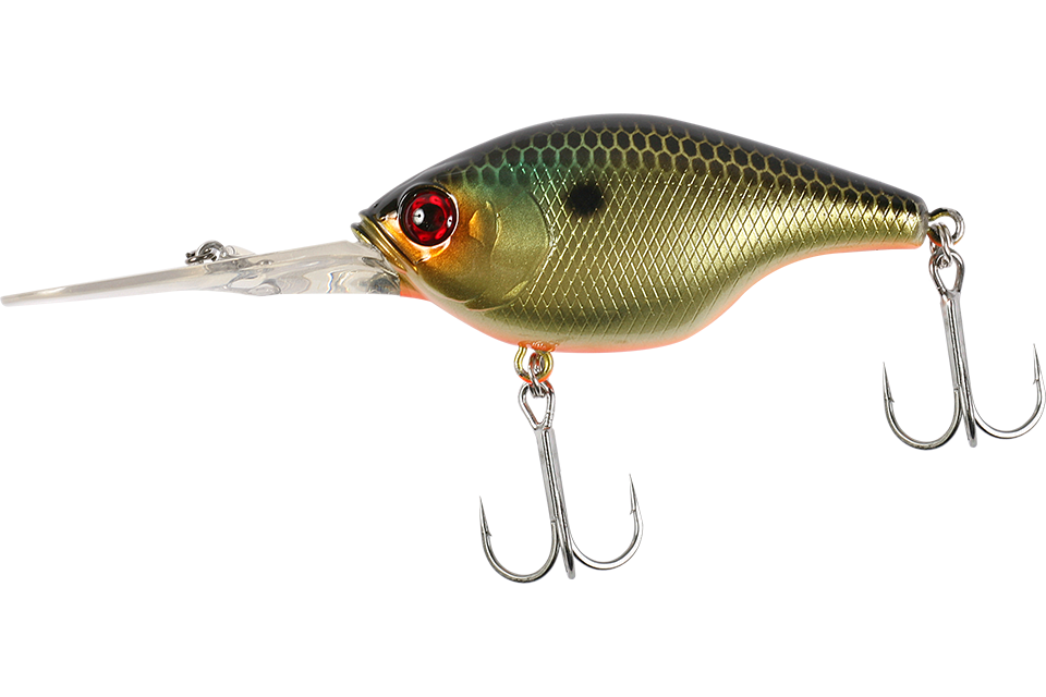 sk gold shiner