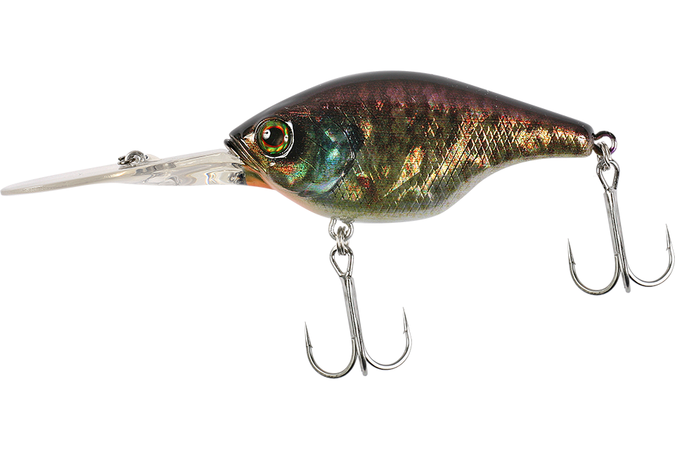 rt flash bluegill