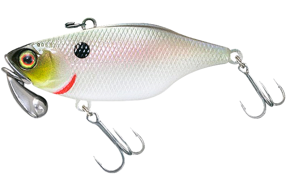 sk pearl shad