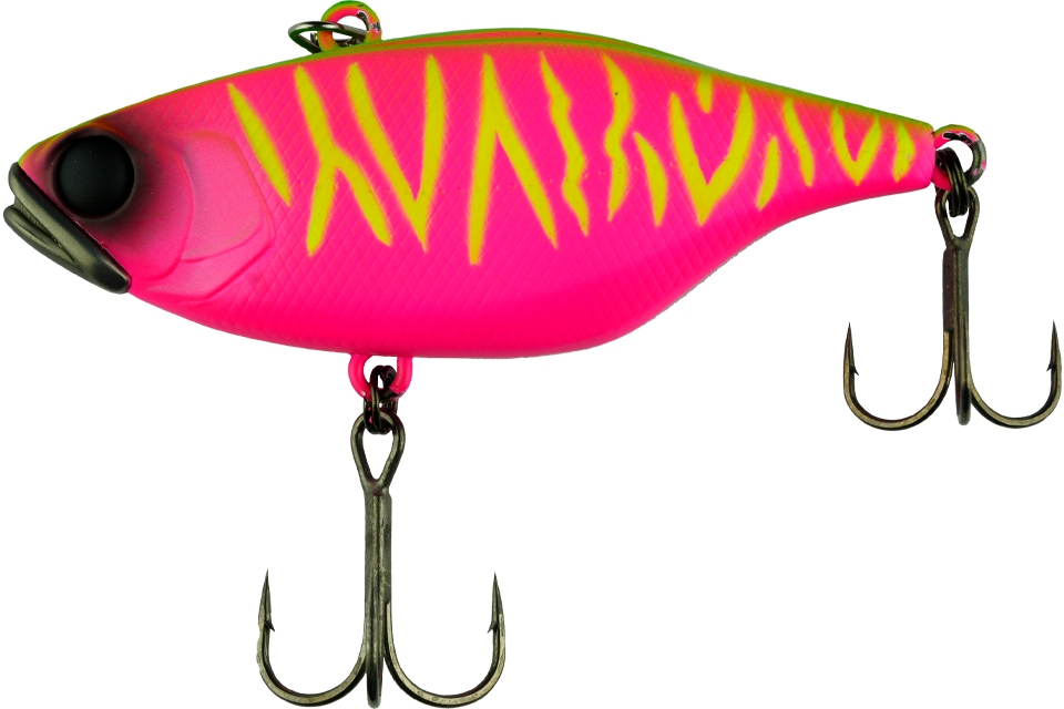 dragon fruit mat tiger