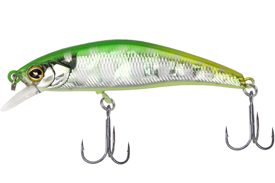 flash green back