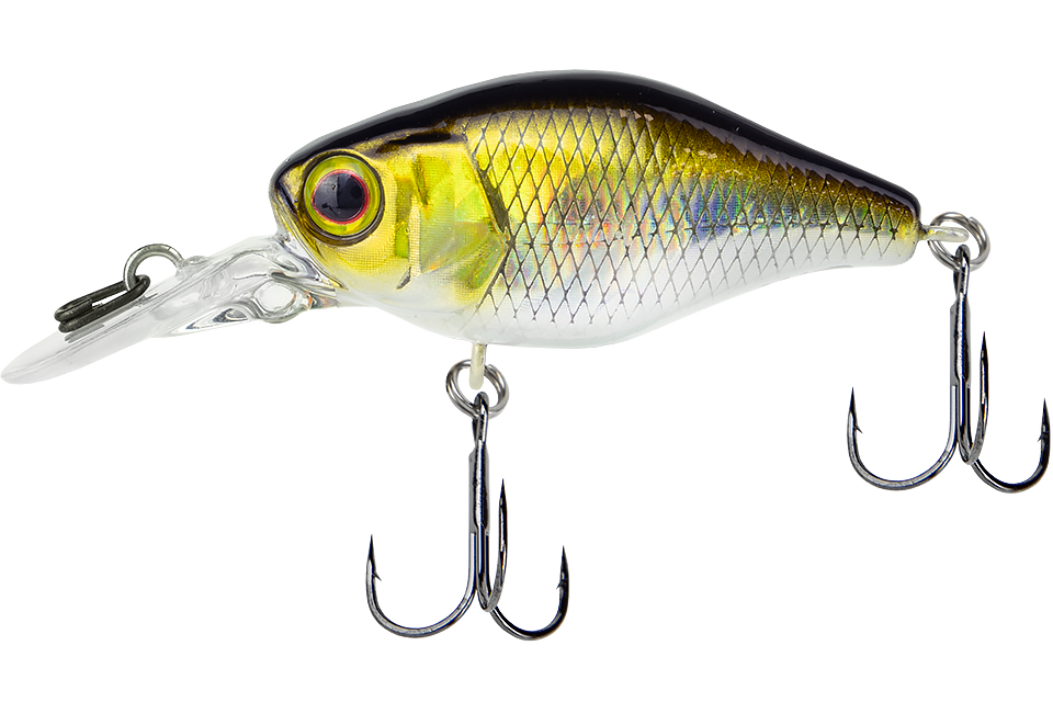 hl shad