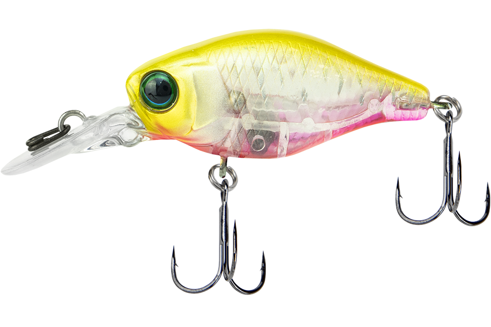 clear chartreuse tiger