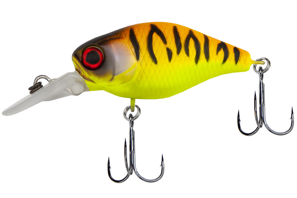 tropical mat tiger