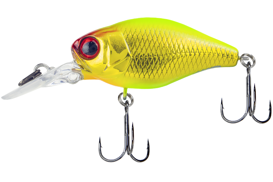 gold & chartreuse