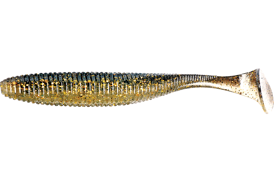 gold & black shad