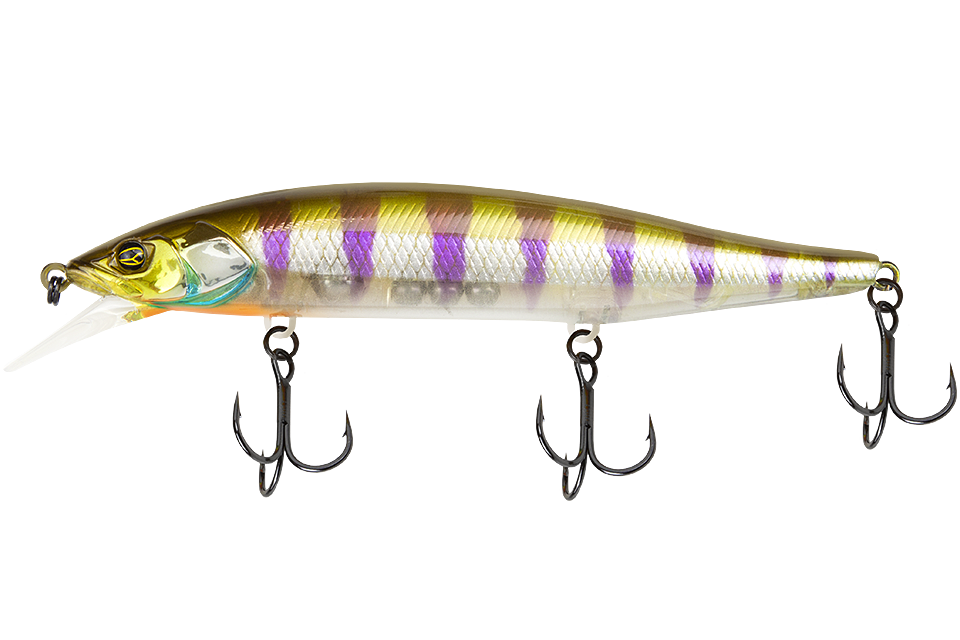 ghost gill