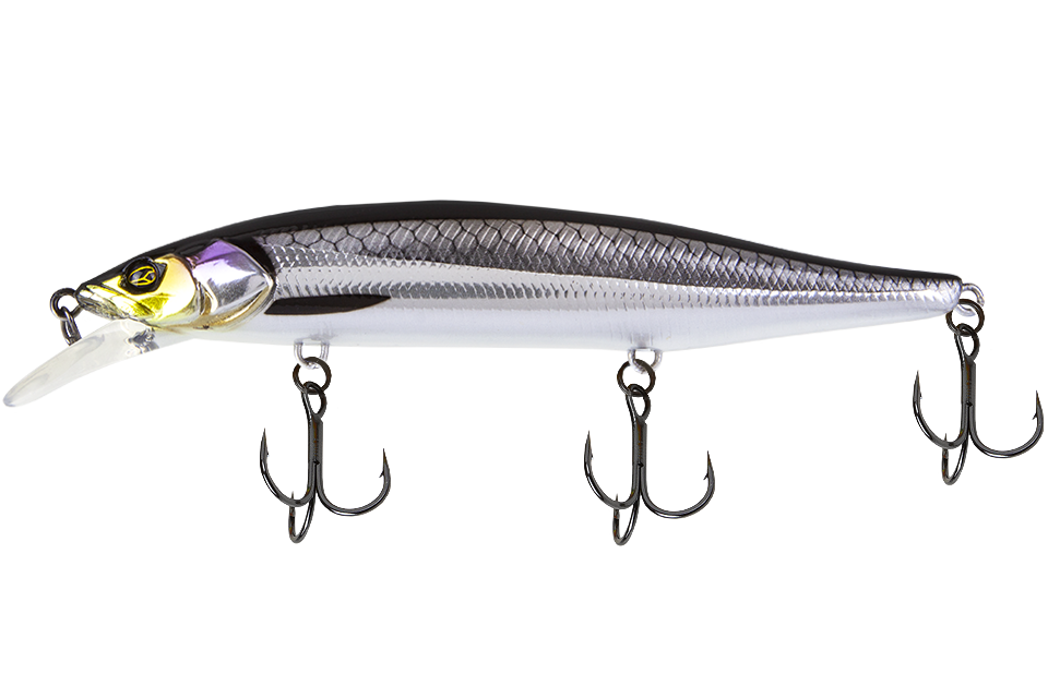 rv silver