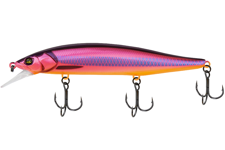 rv spark