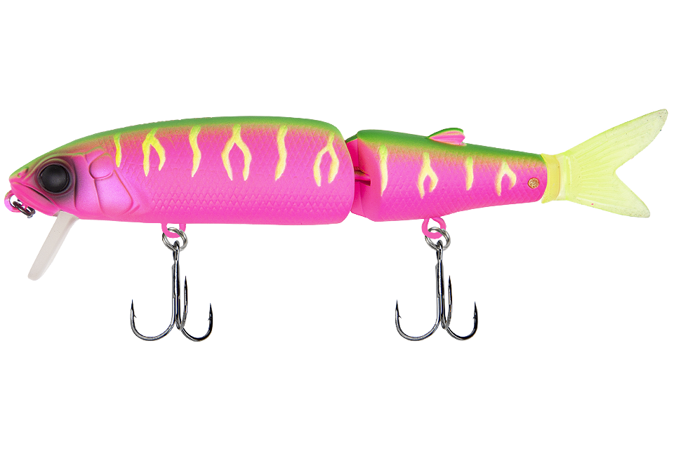 dragon fruit mat tiger