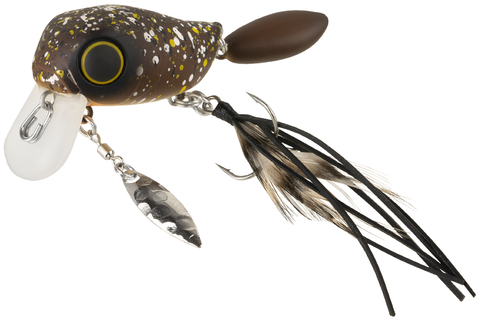 brown bug