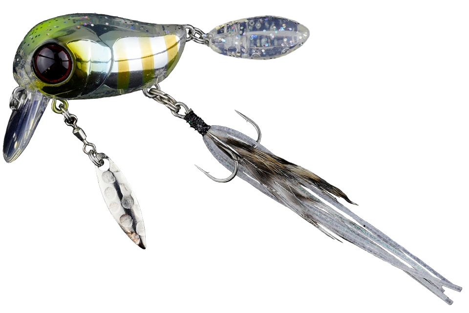 kirari clear gill