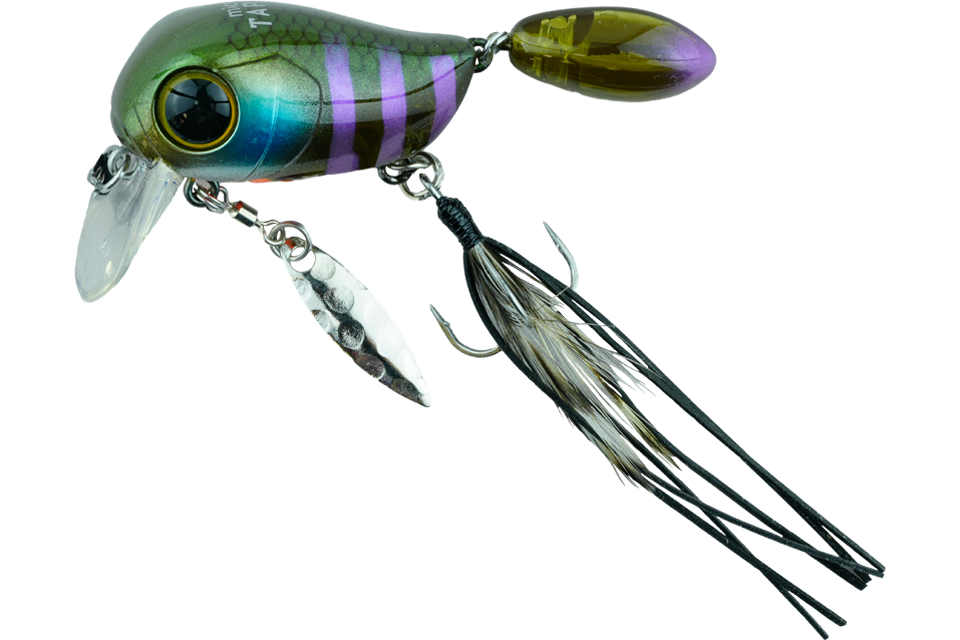 smoky gill