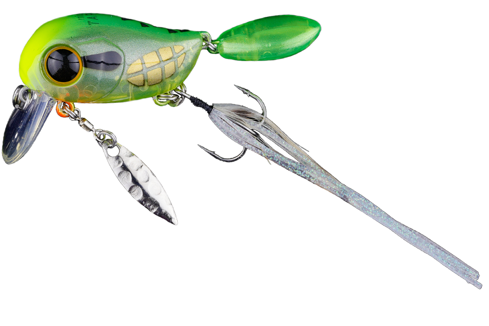 chartreuse grass hopper