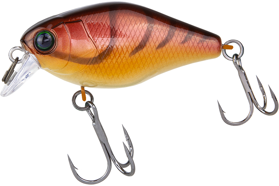 craw fish