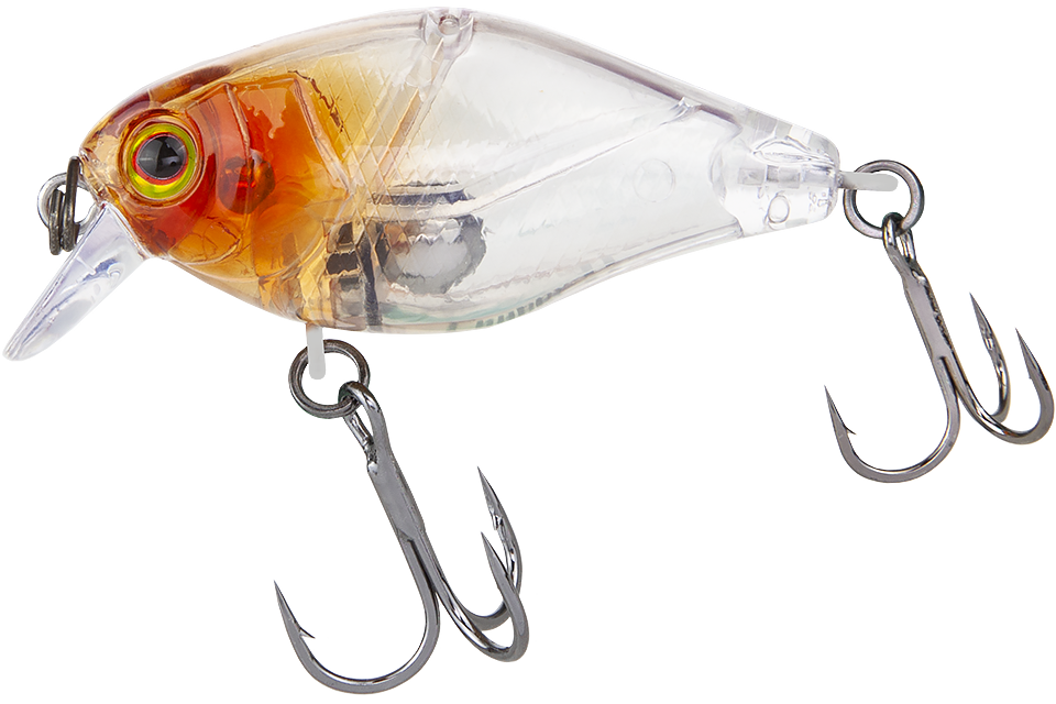 clear salmon roe head