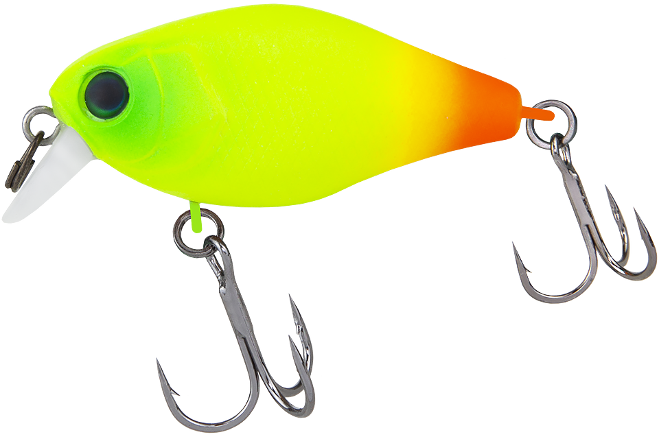chartreuse orange