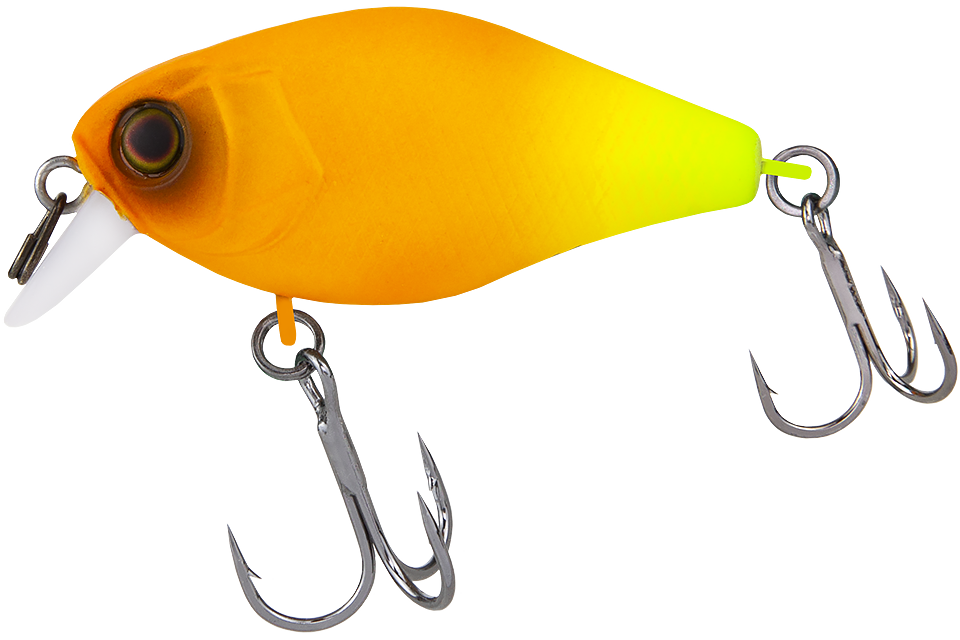 orange chartreuse