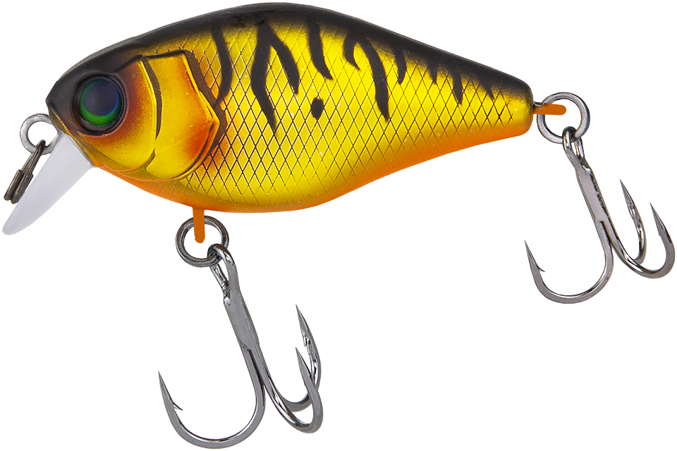 mat gold tiger