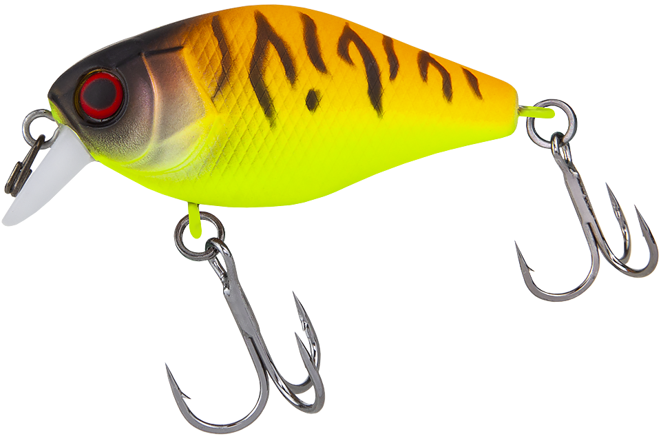 tropical mat tiger