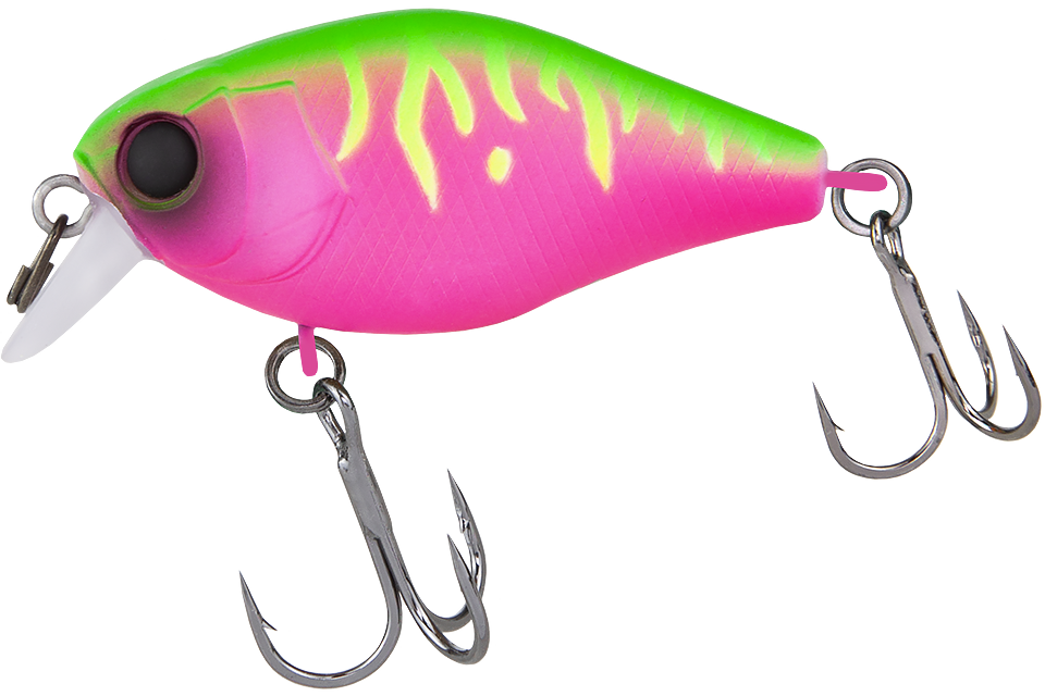 dragon fruit mat tiger