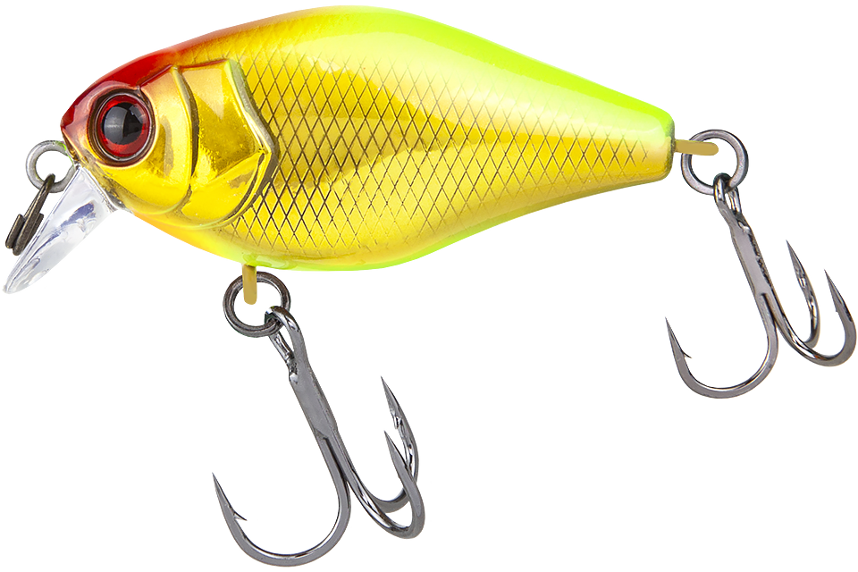 gold & chartreuse