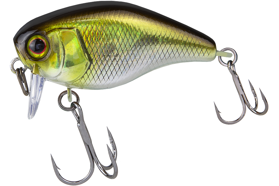 hl shad