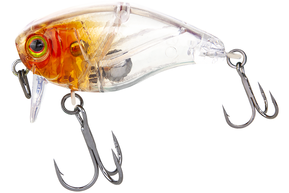 clear salmon roe head