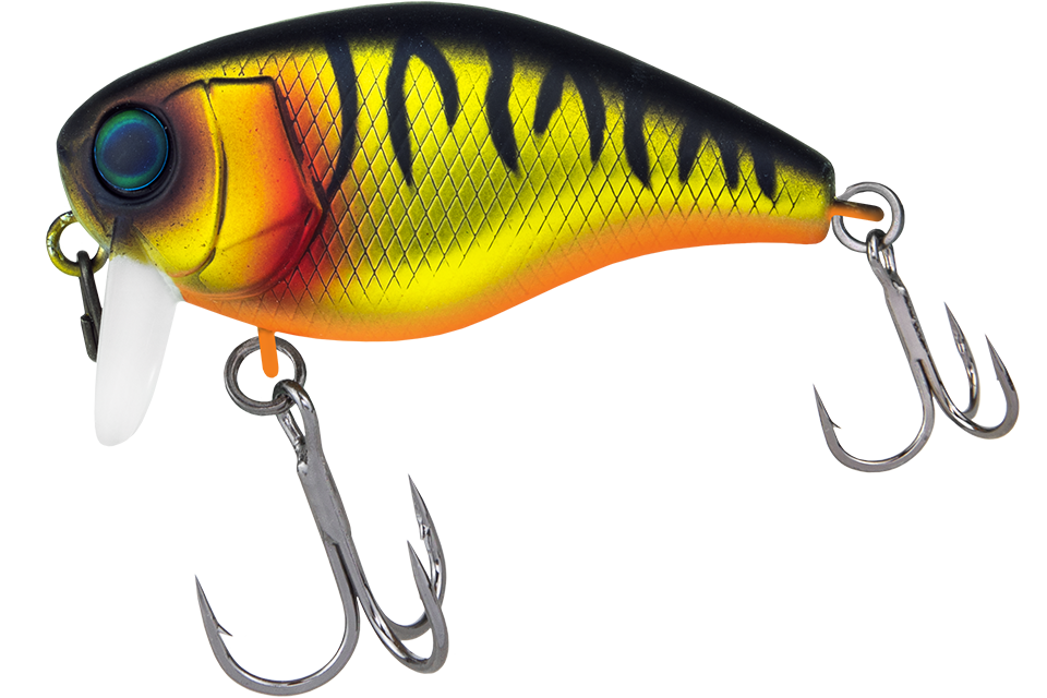 mat gold tiger