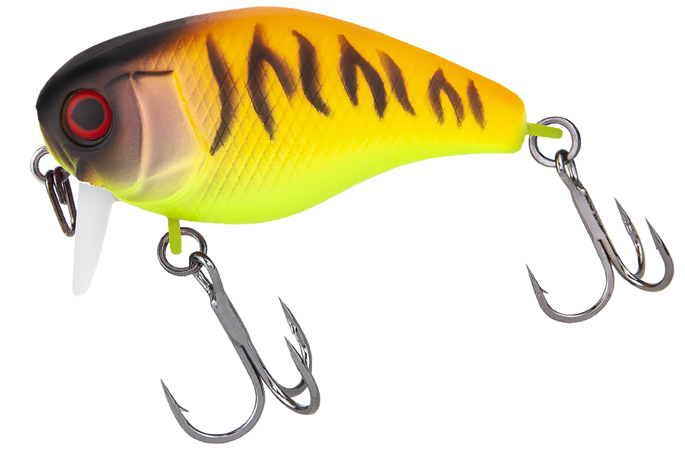 tropical mat tiger