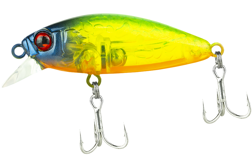 lime squash