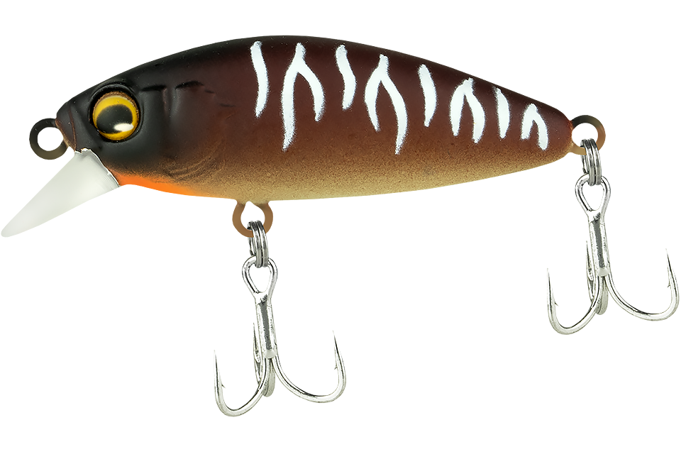 bug tiger