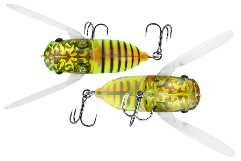 sight clear insect