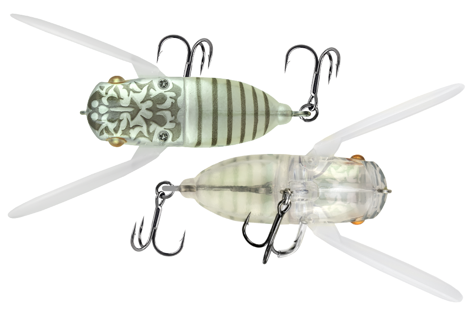 emergence cicada