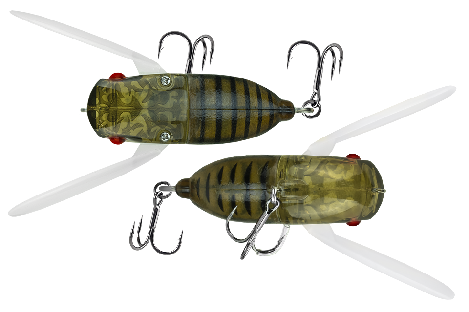 lake hibara spring cicada