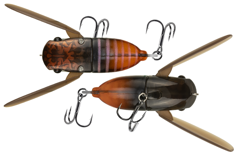 lake nojiri spring cicada