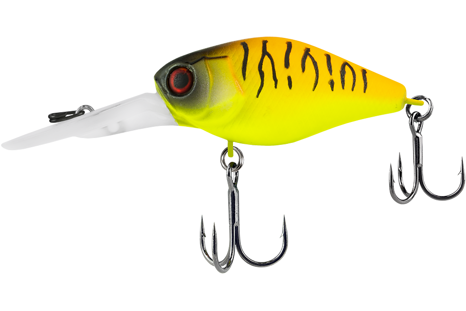 tropical mat tiger