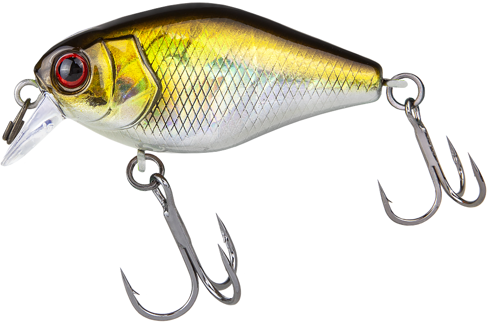 hl shad