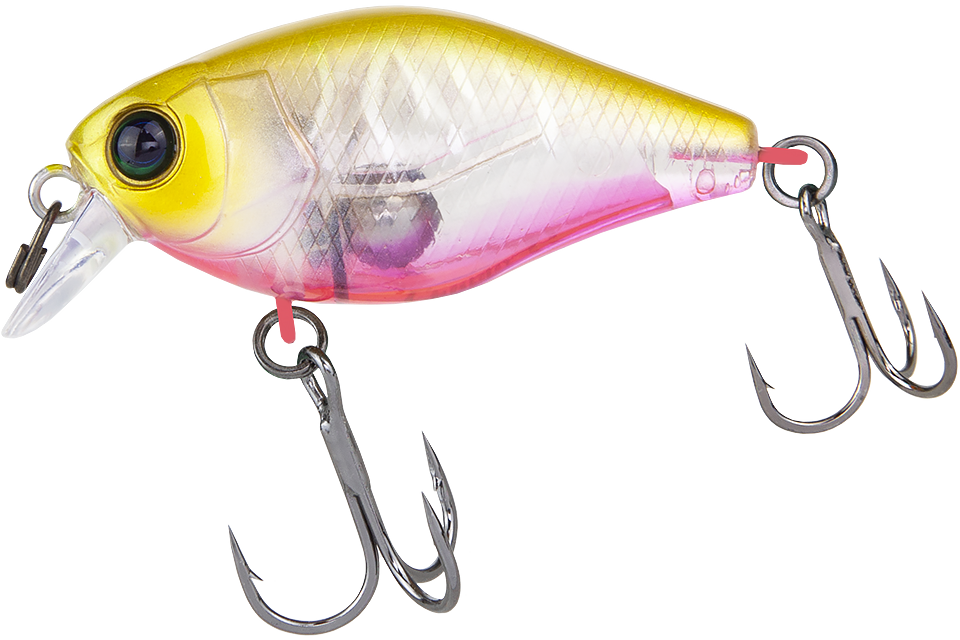 clear chartreuse tiger