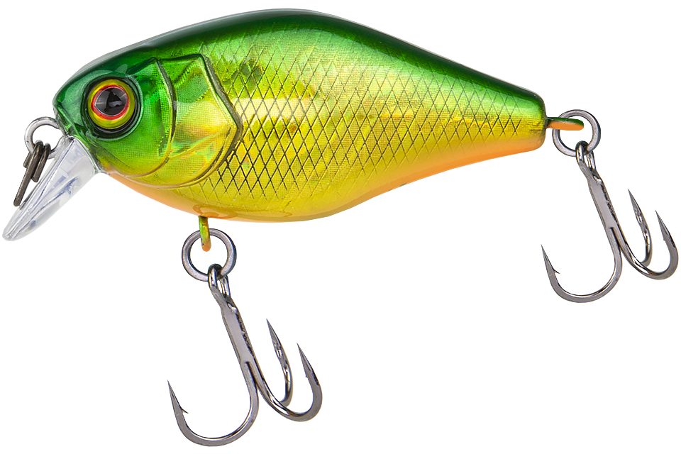 lime squash